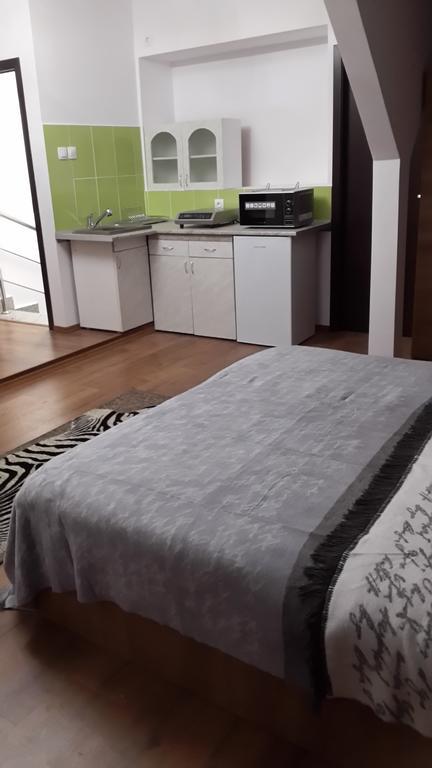 Carmen Studio Otopeni Εξωτερικό φωτογραφία